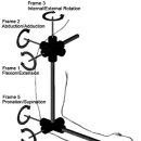 주관절(Elbow Joint) &amp; 견관절(Shoulder Joint) 움직임 이해를 돕는 사진 이미지