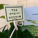 리얼크린족욕 - 구로구 개봉로17길 31 | 리얼크린족욕