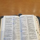 시편카페 이미지