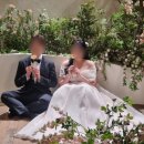 운정블라썸꽃집 | [파주] 파주 저렴하게 부케 제작 가능한 '운정 블라썸 꽃집' (ft. 20개 업체 비교 후 내돈내산)