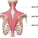 바른운동PT 평촌1호점 이미지