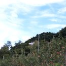 박달재농원 이미지