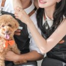 커몬댕댕 광주애견유치원&애견호텔 이미지