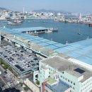 부산공동어시장 이미지