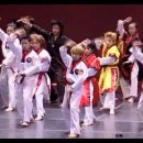 Taekwondo K-Tigers(태권도 시범공연) 이미지