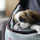 해올동물병원 이미지