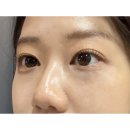 정우통상 - 화성시 | 의정부 SM브로우 의정부속눈썹펌 잘하는 곳 대만족 후기 დ