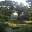 서귀포자연휴양림2 이미지