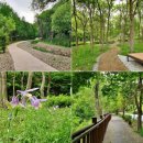 백야자연휴양림 이미지