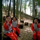 은아유치원 이미지