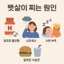 ㈜오솔루션서울지점 | 뱃살다이어트 후기 | 쥬비스 여의도점에서 감량한 2kg 전부 뱃살이었나