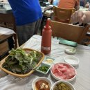 전남고흥회집