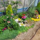 도시농업관리사반 이미지