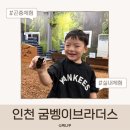 비브라더스 | 인천 곤충체험｜굼벵이브라더스 실내 체험장 아이랑 방문 후기