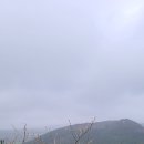 정의2리 이미지