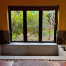 성산 동백소랑 이미지