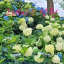 연담공원 이미지