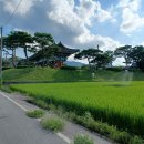 익산드론방제