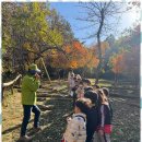 숲속늘푸른어린이집 이미지