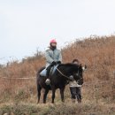 제주랜드 이미지