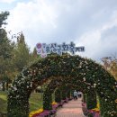 배울2로(유성-27) | 2025 유성국화축제 주말 방문 후기 일정 프로그램 주차 주차장