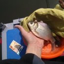 금성사슴농장 이미지