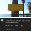 내세상