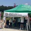 용소골농장 | 강원도 원주 용수골 양귀비축제 기본정보 입장료 주차장 애견동반 먹거리 꽃구경 실시간