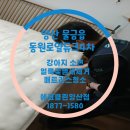 동원로얄듀크 | 양산 동원로얄듀크 침대 매트리스 오염 세탁