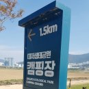 대저생태공원캠핑장 이미지
