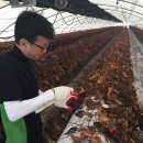 남원농협보절지점 이미지