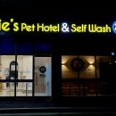 올리스24 명지점 이미지