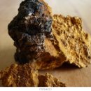 신이환경 이미지