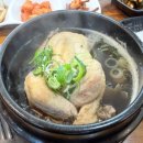 여름 회식 메뉴 추천｜양재 약초마을 백숙 솔직 후기 (초복 중복 말복 언제?)