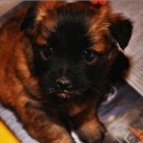 삼남매농장 이미지