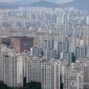 분당-114 이미지