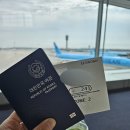 A360 | 유럽 여자혼자 스위스여행 ep.1 대한항공 KE917 인천-취리히 직항 후기(가장 중요한 기내식)