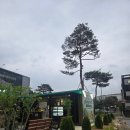 고창 기념품 / 당도최고 고창수박 웰파크호텔 근처 농업회사법인 팜스타 과일 직판장 (택배가능)