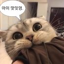 영석마트 | 3월 4주 | 영석이네 레스토랑/필름 카메라 현상/EMS 일본 배송/노들섬 피크닉/일본교환학생출국