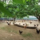 김제아리랑농원 이미지