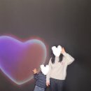 정한약국 | 강남호랑이한약국 다이어트 한약 후기 - 31일~45일 복용 -5kg 감량