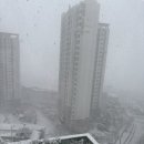 데굴데굴 이미지