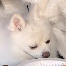 이쁘개 즐겁개 이미지