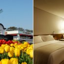 신라스테이 동탄 이미지