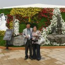 간척3리 이미지