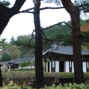 동진다실