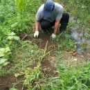 이일농장 이미지