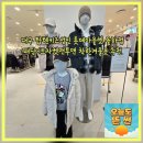 레드몰/동구프라자 | 대구 탑텐키즈성인 롯데아울렛 율하점 패딩니트자켓맨투맨 착한겨울옷 추천