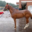 녹원목장 이미지