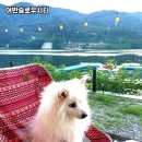 남면-11 | 춘천 남면 힐링 캠핑 명소, 어반슬로우시티 다녀왔어요! 🌿🏕️